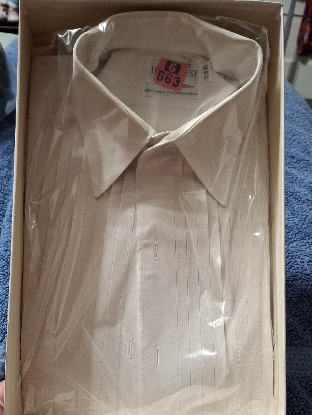 Men's Pleated Front Dress Shirt in Ivory